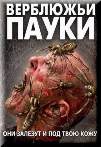 Верблюжьи пауки / Camel Spiders (2012)